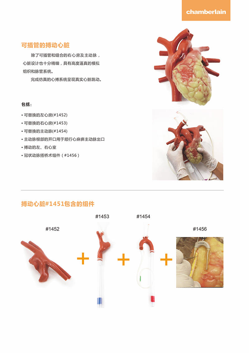 Surgical Man心臟灌注訓練系統02.jpg